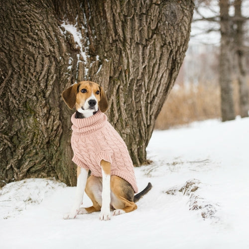 Chalet Sweater